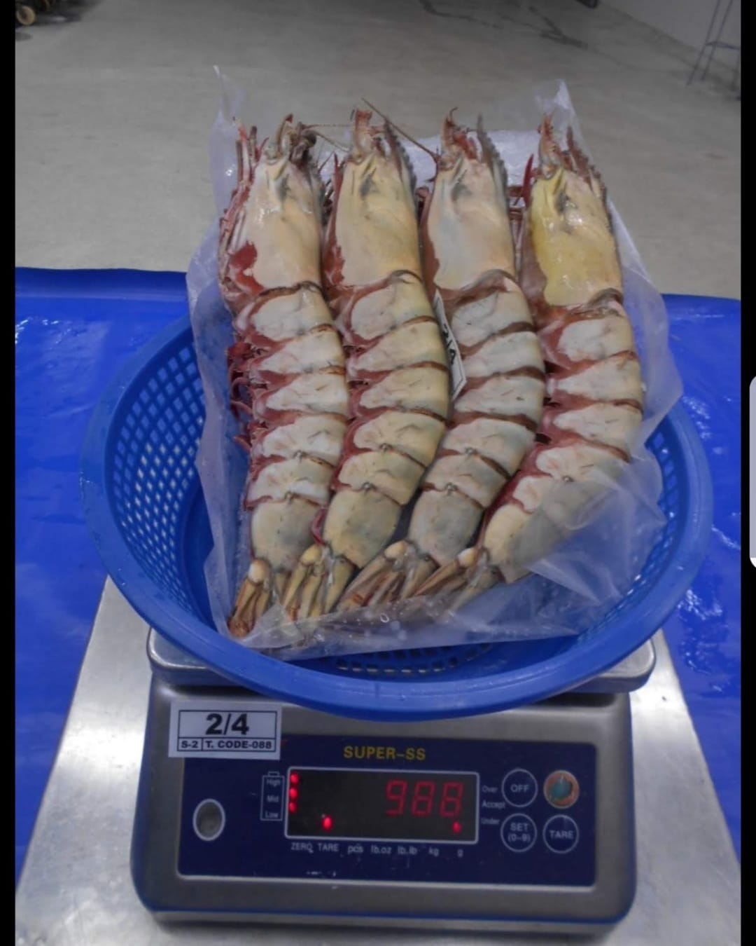 Shrimp Collection